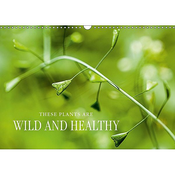 THESE PLANTS ARE WILD AND HEALTHY (Wall Calendar 2019 DIN A3 Landscape), Markus Wuchenauer pixelrohkost.de