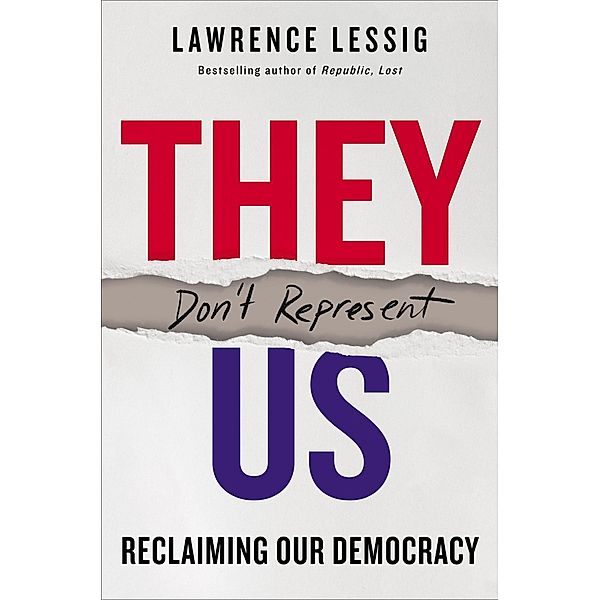 They Don't Represent Us, Lawrence Lessig