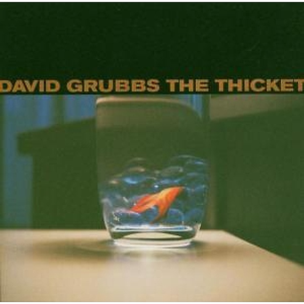 Thicket, David Grubbs