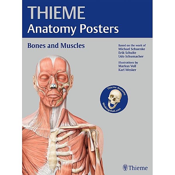 Thieme Anatomy Poster, English Nomenclature, Bones and Muscles, Michael Schünke