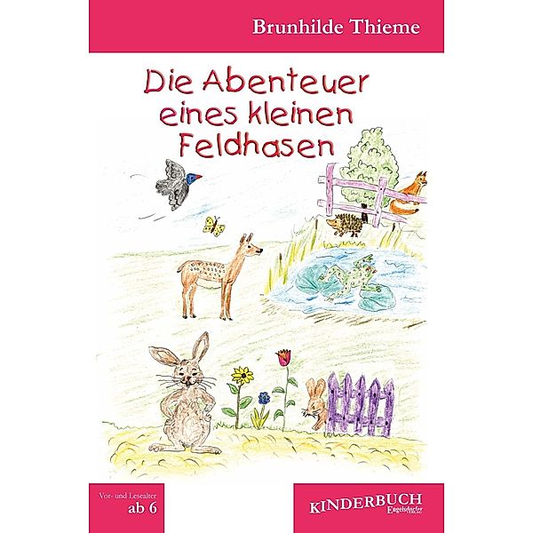 Thieme, B: Abenteuer eines kleinen Feldhasen, Brunhilde Thieme