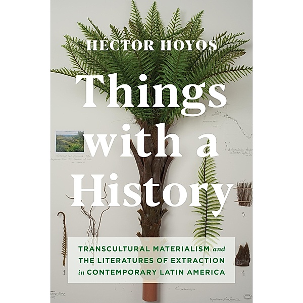 Things with a History, Héctor Hoyos