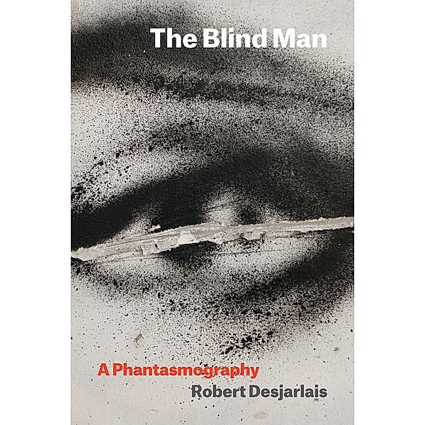 Thinking from Elsewhere: The Blind Man, Robert Desjarlais