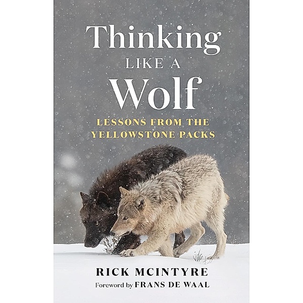 Thinking Like a Wolf / The Alpha Wolves of Yellowstone, Rick McIntyre