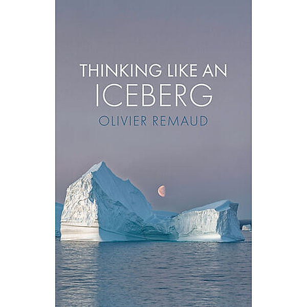 Thinking Like an Iceberg, Olivier Remaud