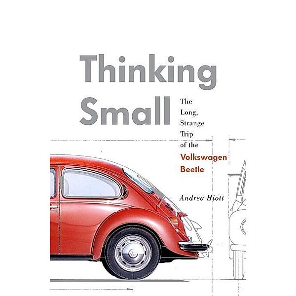 Thinking Small, Andrea Hiott