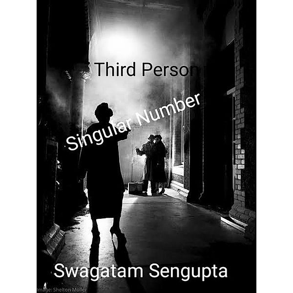 Third Person Singular Number, Swagatam Sengupta