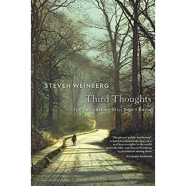 Third Thoughts - The Universe We Still Don't Know; ., Steven Weinberg
