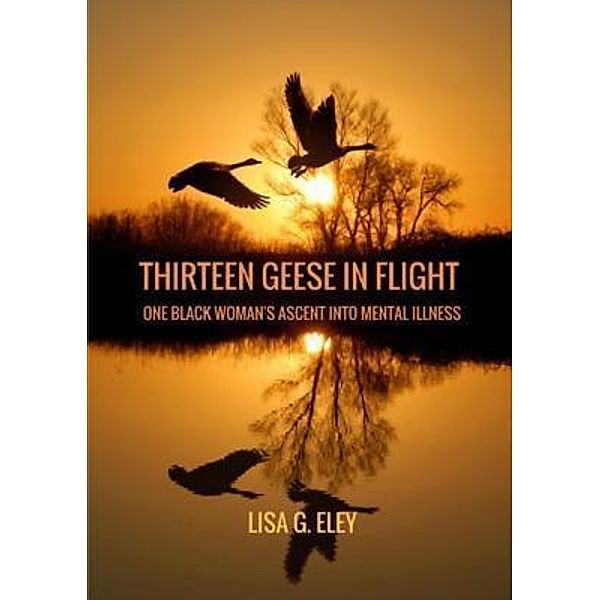 Thirteen Geese in Flight, Lisa Eley