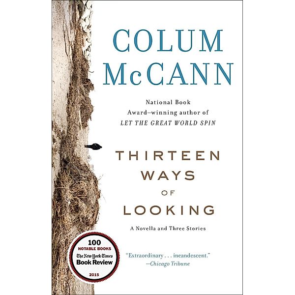 Thirteen Ways of Looking, Colum Mccann