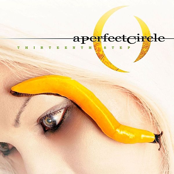 Thirteenth Step, A Perfect Circle