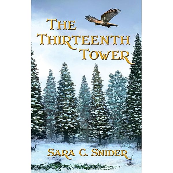 Thirteenth Tower / Double Beast Publishing, Sara C Snider