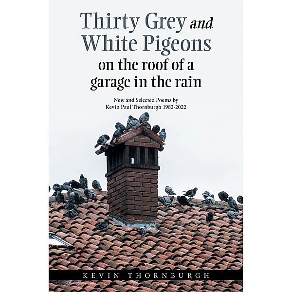 Thirty Grey and White Pigeons on the Roof of a Garage in the Rain, Kevin Thornburgh