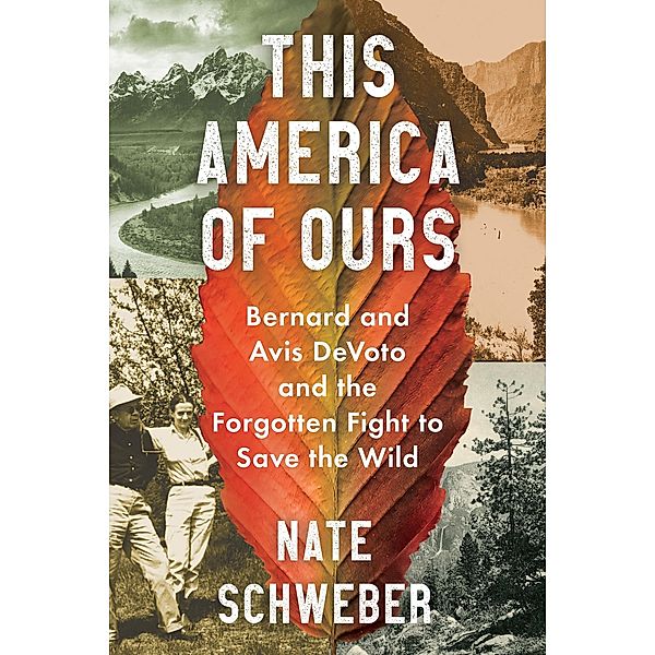 This America of Ours, Nate Schweber