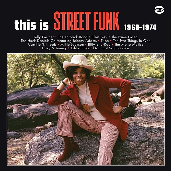 This Is Street Funk 1968-1974 (Black Vinyl), Diverse Interpreten