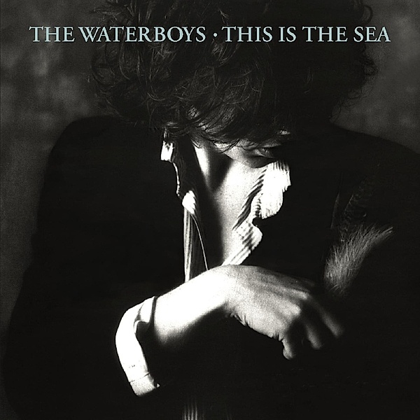 This Is The Sea, Waterboys