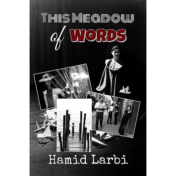 This Meadow of Words, Hamid Larbi