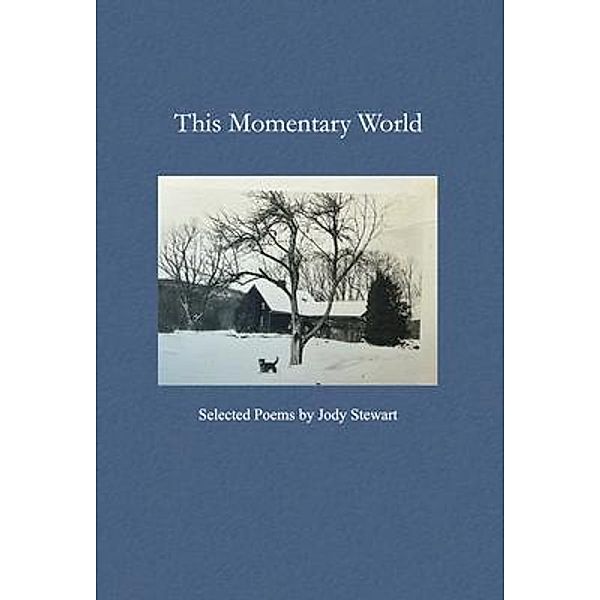 This Momentary World, Jody Stewart