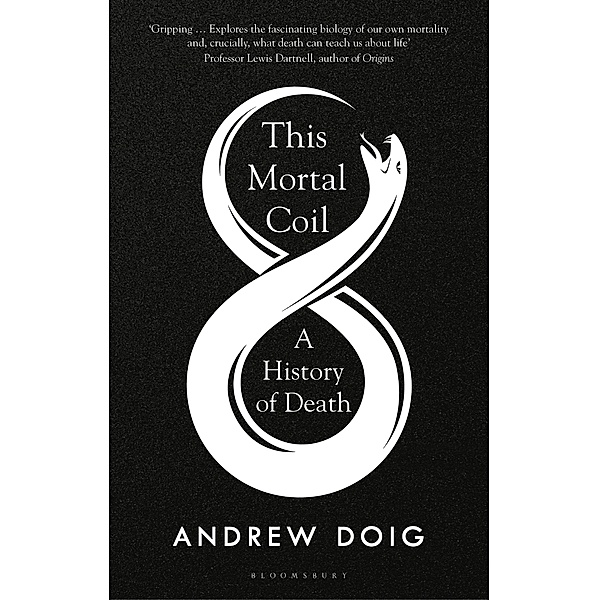This Mortal Coil, Andrew Doig