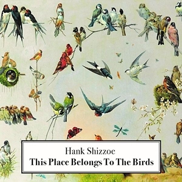 This Place Belongs To The Birds, Hank Shizzoe