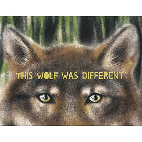 This Wolf Was Different, Katie Slivensky