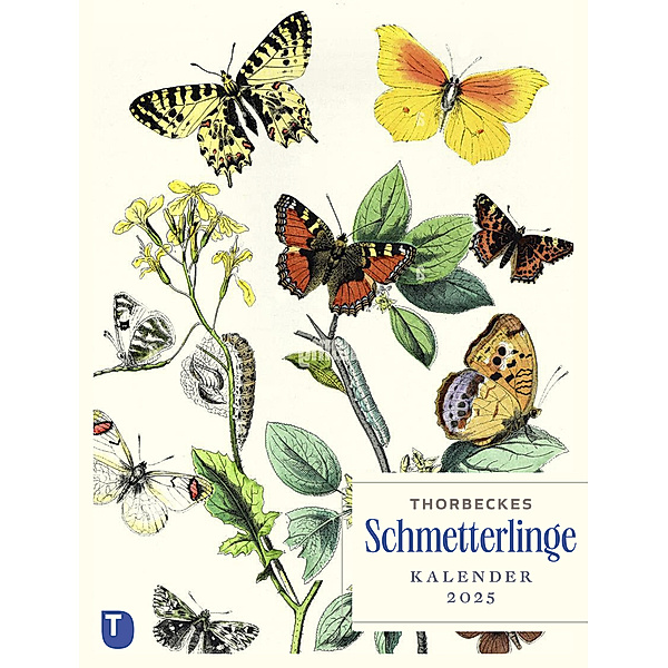 Thorbeckes Schmetterlinge-Kalender 2025