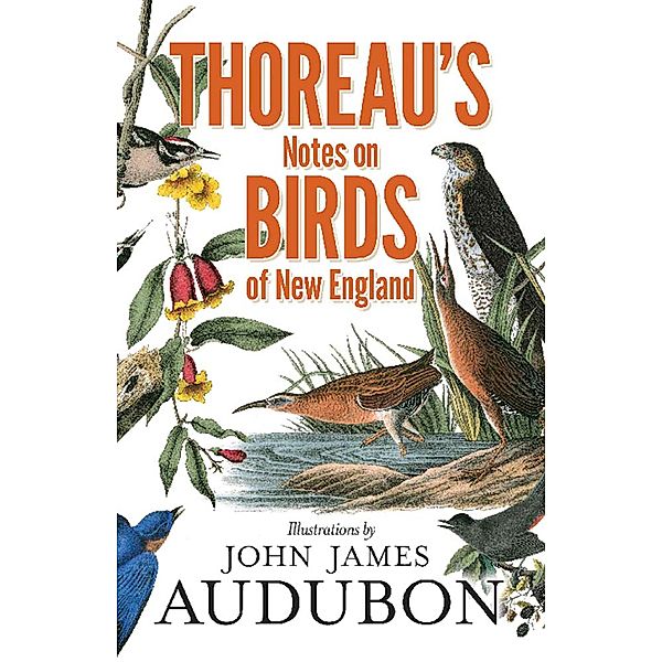 Thoreau's Notes on Birds of New England, Henry David Thoreau