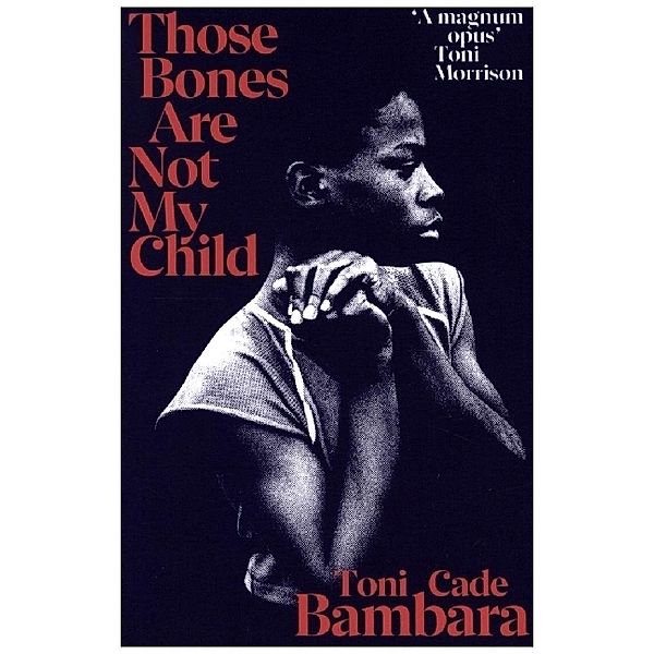 Those Bones Are Not My Child, Toni Cade Bambara