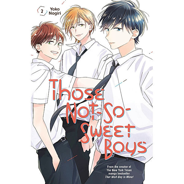 Those Not-So-Sweet Boys 2, Yoko Nogiri