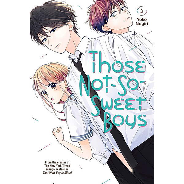 Those Not-So-Sweet Boys 3, Yoko Nogiri