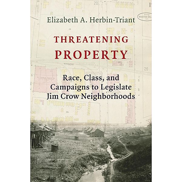 Threatening Property / Columbia Studies in the History of U.S. Capitalism, Elizabeth A. Herbin-Triant