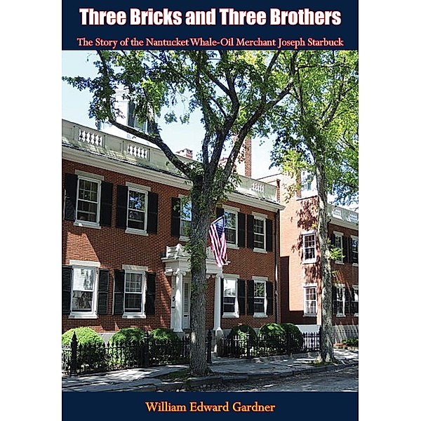 Three Bricks and Three Brothers / Barakaldo Books, William Edward Gardner
