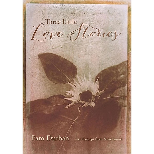 Three Little Love Stories / Story River Books, Pam Durban