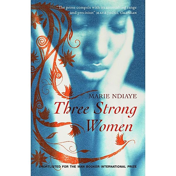 Three Strong Women, Marie NDiaye