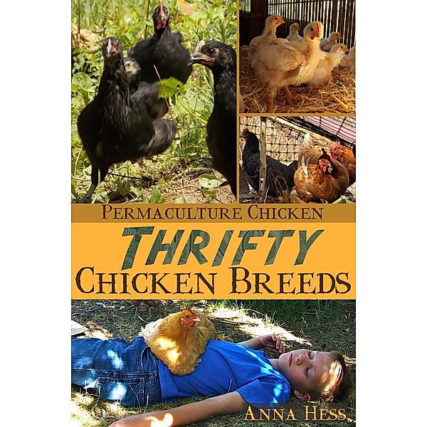 Thrifty Chicken Breeds: Efficient Producers of Eggs and Meat on the Homestead (Permaculture Chicken, #3) / Permaculture Chicken, Anna Hess