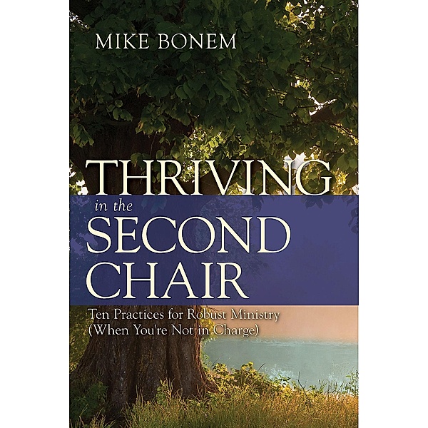 Thriving in the Second Chair, Mike Bonem