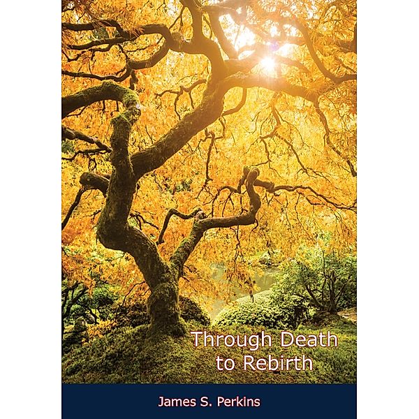 Through Death to Rebirth / Barakaldo Books, James S. Perkins