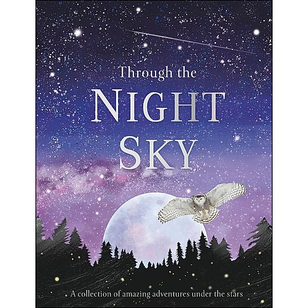 Through the Night Sky / Journey Through, Dk