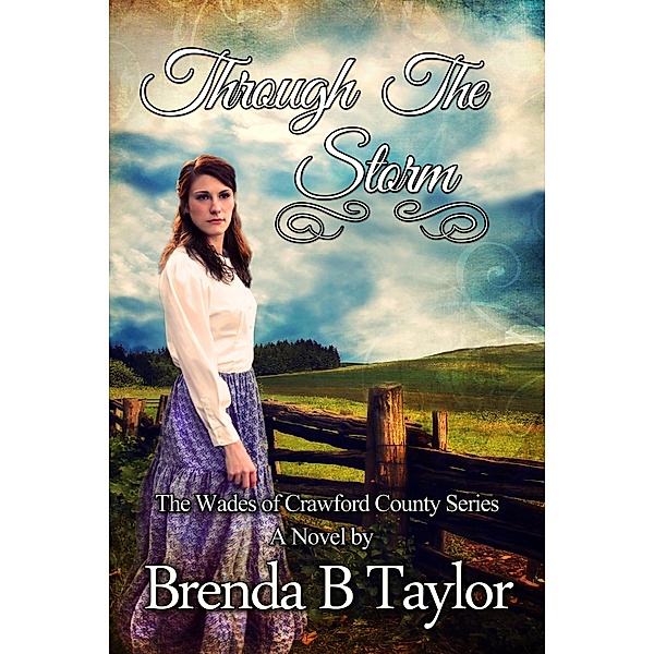 Through The Storm / Brenda B. Taylor, Brenda B. Taylor
