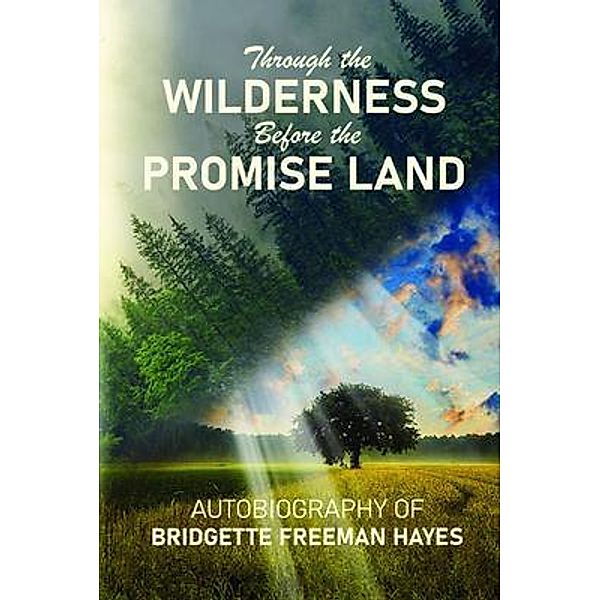 Through the Wilderness Before the Promise Land, Bridgette Freeman-Hayes