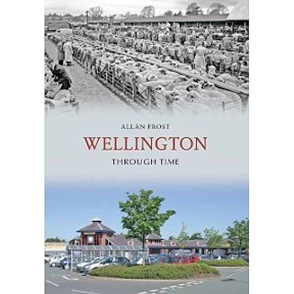 Through Time: Wellington Through Time, Allan Frost