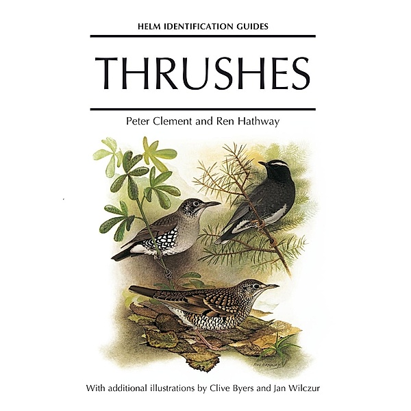 Thrushes / Helm Identification Guides, Peter Clement, Ren Hathway