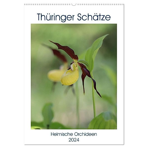 Thüringer Schätze (Wandkalender 2024 DIN A2 hoch), CALVENDO Monatskalender, Bernd Sprenger