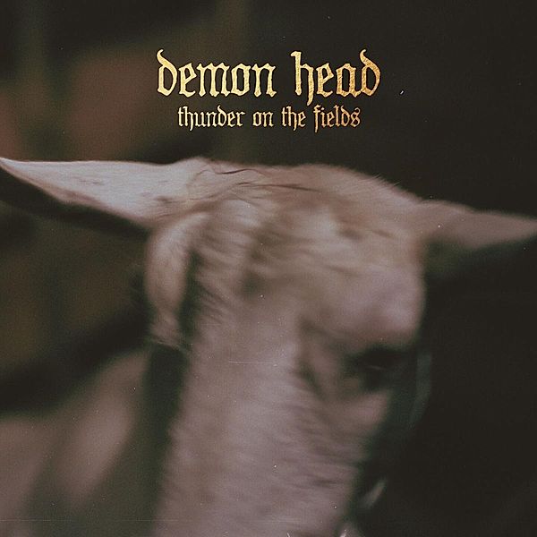 Thunder On The Fields (Vinyl), Demon Head