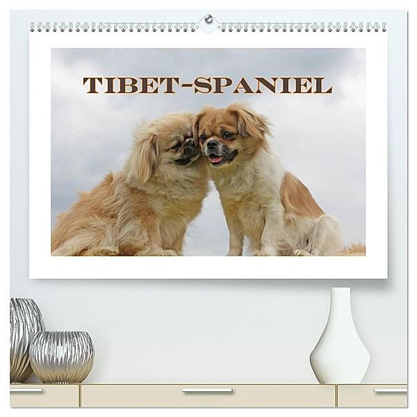 Tibet-Spaniel (hochwertiger Premium Wandkalender 2025 DIN A2 quer), Kunstdruck in Hochglanz, Calvendo, Antje Lindert-Rottke