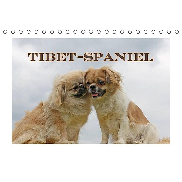 Tibet-Spaniel (Tischkalender 2023 DIN A5 quer), Antje Lindert-Rottke