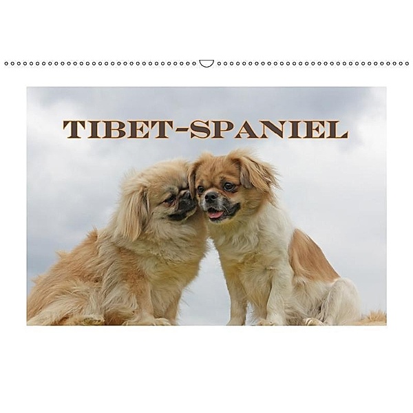 Tibet-Spaniel (Wandkalender 2019 DIN A2 quer), Antje Lindert-Rottke
