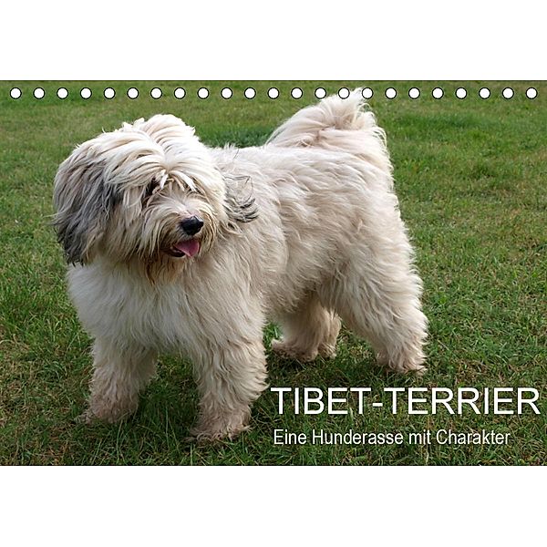 Tibet-Terrier - Eine Hunderasse mit Charakter (Tischkalender 2021 DIN A5 quer), Rudolf Bindig