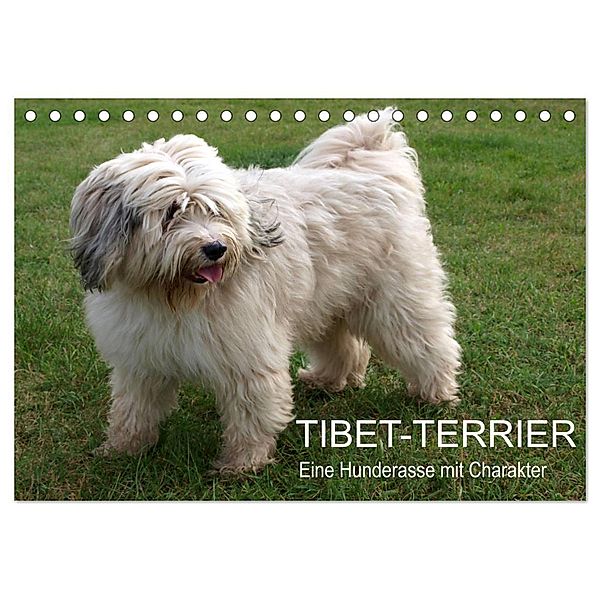 Tibet-Terrier - Eine Hunderasse mit Charakter (Tischkalender 2024 DIN A5 quer), CALVENDO Monatskalender, Rudolf Bindig