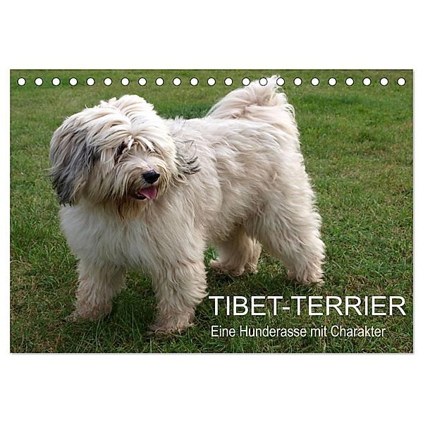 Tibet-Terrier - Eine Hunderasse mit Charakter (Tischkalender 2025 DIN A5 quer), CALVENDO Monatskalender, Calvendo, Rudolf Bindig